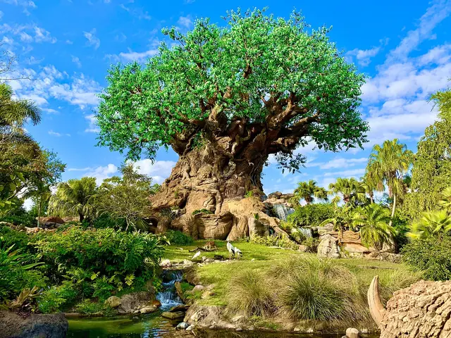 Photograph: The Tree of Life at Disney's Animal Kingdom