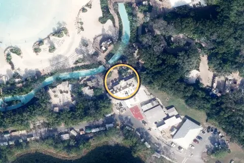 Leaning Palms from the air, 2026